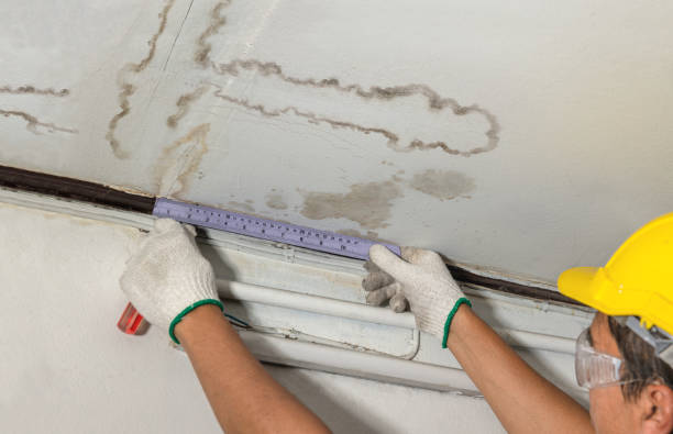 Reliable Water Damage contractor in Sublimity, OR by Water Damage Irwin
